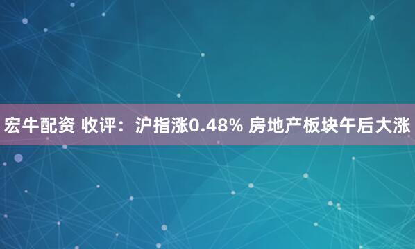宏牛配资 收评：沪指涨0.48% 房地产板块午后大涨